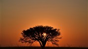 Expedice jižní Afrikou - Jihoafrická republika, Namibie, Botswana a Zimbabwe