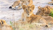 Expedice jižní Afrikou - Jihoafrická republika, Namibie, Botswana a Zimbabwe