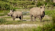 Expedice jižní Afrikou - Jihoafrická republika, Namibie, Botswana a Zimbabwe