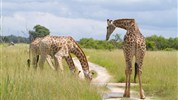 Expedice jižní Afrikou - Jihoafrická republika, Namibie, Botswana a Zimbabwe