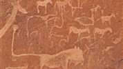 Expedice Namibií: Od dun Sossusvlei po safari v Etosha