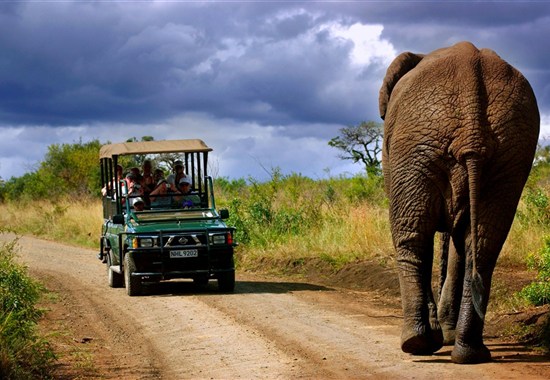 Safari v Jižní Africe: Národní park Kruger a Panorama Route -  - 