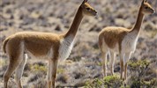 Peru - po stopách Inků s českým průvodcem