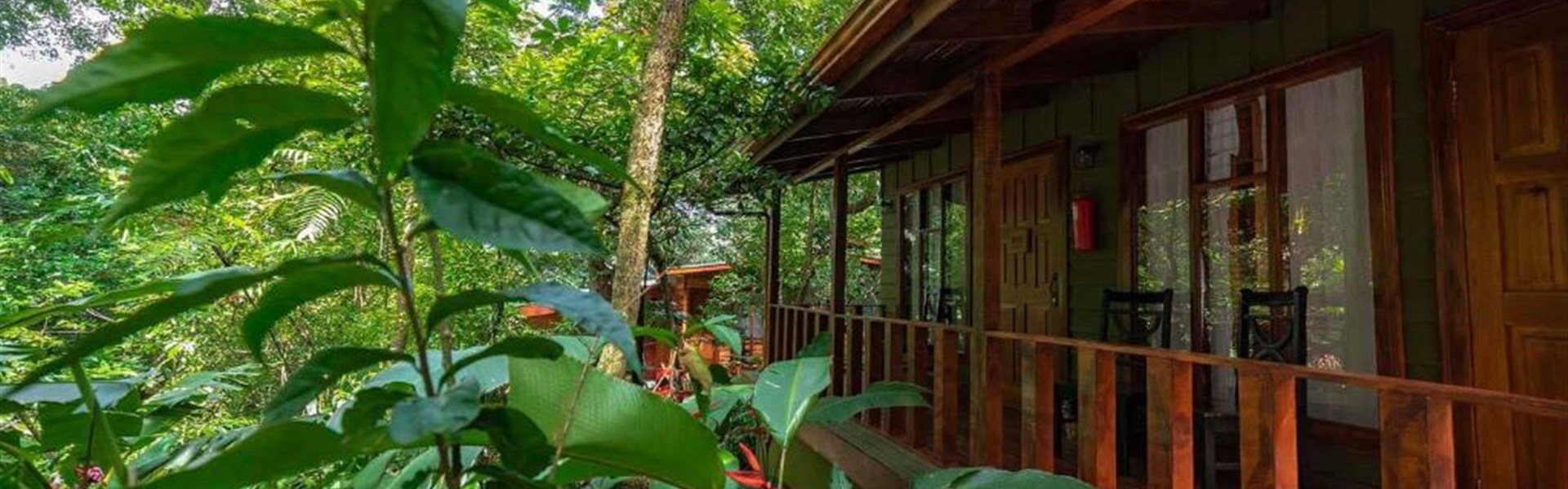 Marco Polo - Jaguarundi Lodge Monteverde 3* - Kostarika_Monteverde_Jaguarundi Lodge