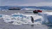 Antarktida: National Geographic Explorer