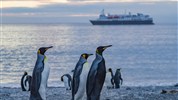 Antarktida: National Geographic Explorer