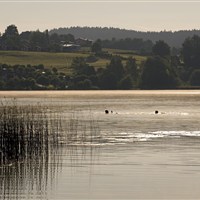 Hotel Turnersee (S) - www.marco-polo.cz