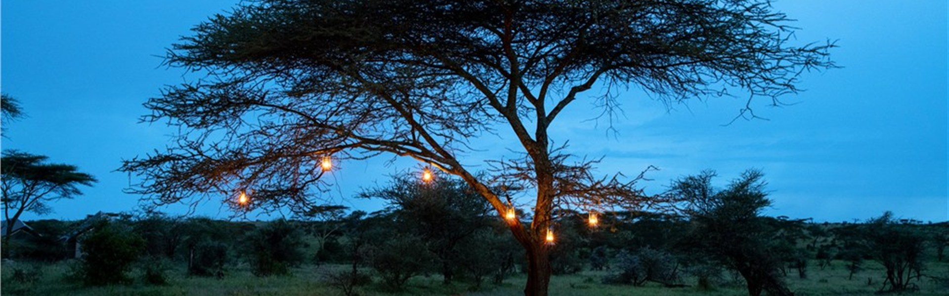 Marco Polo - Lemala Ewanjan Tented Camp 5* - Tanzanie_Serengeti_Lemala Ewanjan