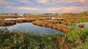 Benátky, laguna a řeka Pád s VIVA UNIQUE