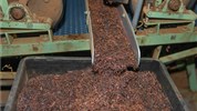 Vánoce a Silvestr na Srí Lance - okruh a pobyt u moře - Sri Lanka_Nuwara Elyia_čaj