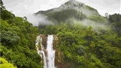 Vánoce a Silvestr na Srí Lance - okruh a pobyt u moře - Sri Lanka_Nuwara Elyia_čaj