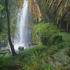 Keňa_Aberdare NP