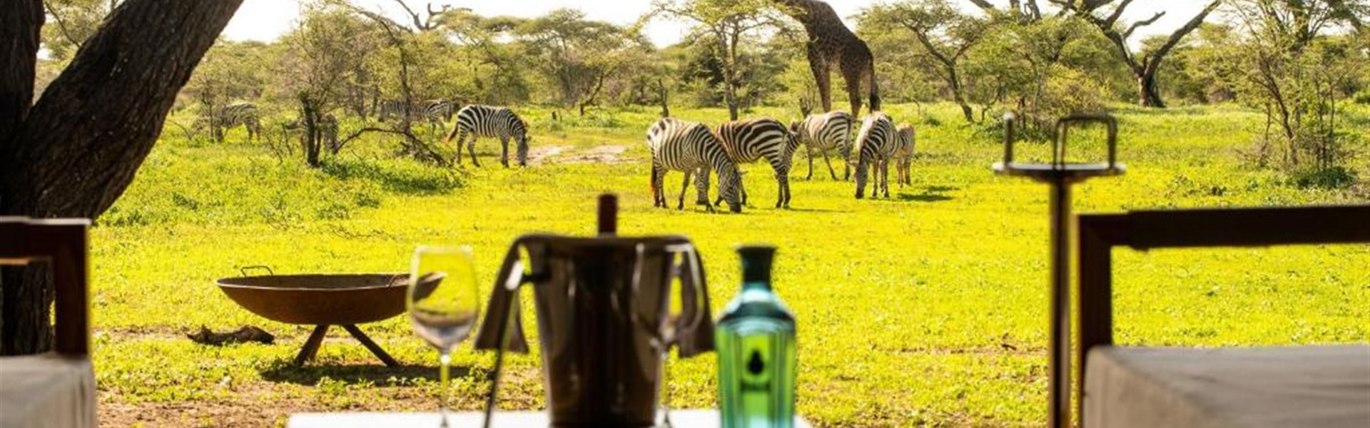 Marco Polo - Nyuki Migration Camp 5* - Tanzanie_Serengeti_North_Nyuki Migration Camp