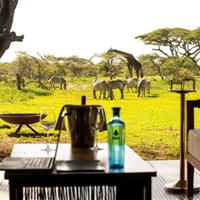 Nyuki Migration Camp 5* - Tanzanie_Serengeti_North_Nyuki Migration Camp - www.marco-polo.cz