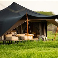 Nyuki Migration Camp 5* - Tanzanie_Serengeti_North_Nyuki Migration Camp - www.marco-polo.cz