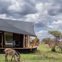 Roho Maji Camp 5* - Tanzanie_Serengeti_Central_Roho Maji - www.marco-polo.cz