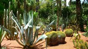 Královská cesta Marokem s českým průvodcem - Zahrady Marrákeš