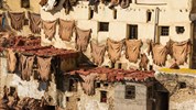 Královská cesta Marokem s českým průvodcem - Sušení kůže ve Fes