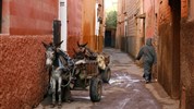 4 denní Marrákeš přímým letem - Uličky v Marrákešské medině
