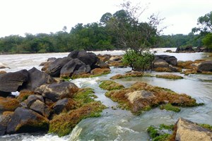  Francouzská Guyana - 13