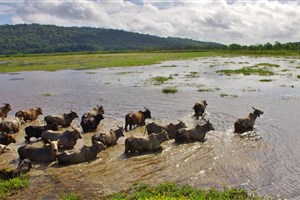  Francouzská Guyana - 26