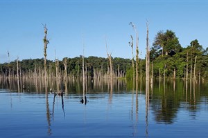  Francouzská Guyana - 38