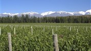 Argentina - země vína, steaků a přírodních krás