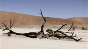 Namibie - barvy pouště s anglickým průvodcem