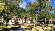 Thajsko - Bangkok a ostrov Koh Hai - Ocean Front Pool Villa v palmovém háji.