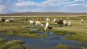 Peru: země Inků, legend a bohů - 14 dní s průvodcem