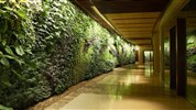 Sofitel The Palm Dubai 5* - živé zelené stěny v hotelových chodbách