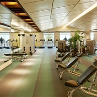 Sofitel The Palm Dubai - fitness centrum - ckmarcopolo.cz