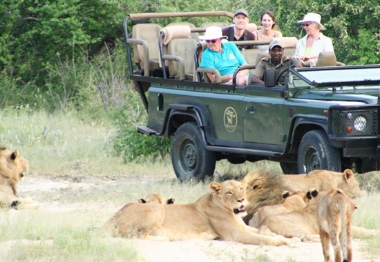 Mohlabetsi Safari Lodge - Jihoafrická republika - V Mohlabetsi si safari opravdu užijete.