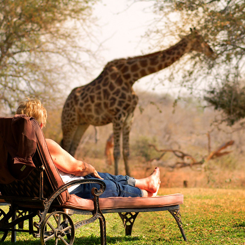 Mohlabetsi Safari Lodge - Mezi jednotlivými výjezdy na safari můžete odpočívat v krásné zahradě u bazénu, s výhledem na napajedlo.