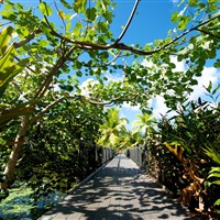 Maitai La Pita Village - ostrov Huahine - ckmarcopolo.cz