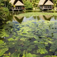 Maitai La Pita Village - ostrov Huahine - ckmarcopolo.cz