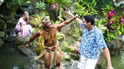 Pacific Resort Rarotonga ****