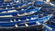 4 denní Marrákeš přímým letem - Essaoira rybářský přístav