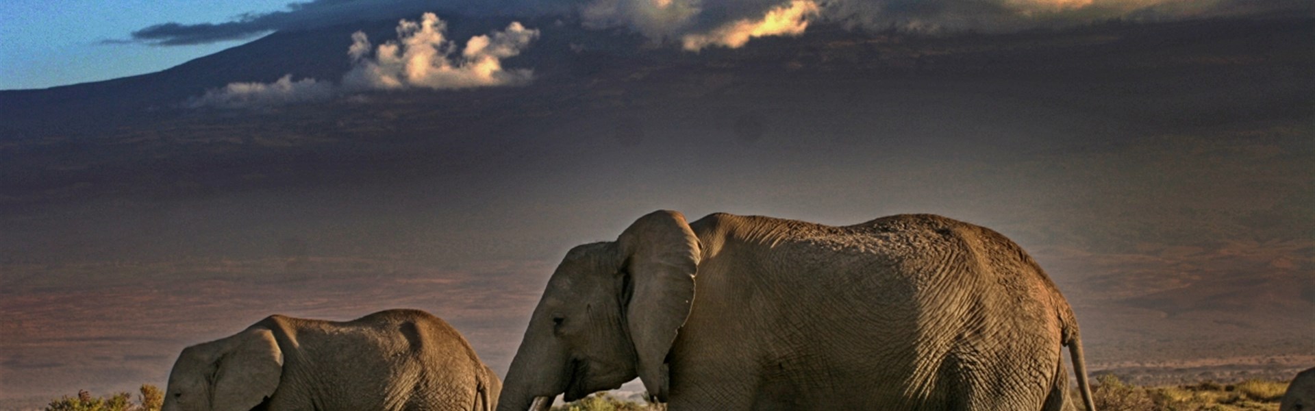 Marco Polo - Amboseli Sopa Lodge - Kilimanjaro a sloni - dvě největší atrakce Amboseli.
