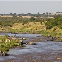Masai Mara Sopa Lodge - Řeka Mara - kolem ní se točí koloběh Velké migrace - ckmarcopolo.cz