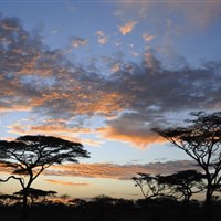Masai Mara Sopa Lodge - Africký západ slunce bere dech. - ckmarcopolo.cz