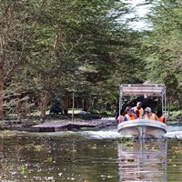 Lake Naivasha Sopa Resort - Výlet na jezero - ckmarcopolo.cz