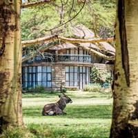 Lake Naivasha Sopa Resort - Voduška patří k nejkrásnějším antilopám. - ckmarcopolo.cz
