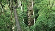 Balíček: Amazonie - Inkaterra Amazonica