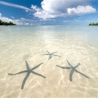 Pacific Resort Rarotonga - ckmarcopolo.cz