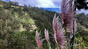 Velká cesta po Peru s Amazonií a Chachapoyas