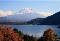 Japonsko: hledání japonské duše s českým průvodcem