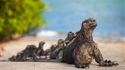 Prodloužení zájezdu do Ekvádoru o Galapágy