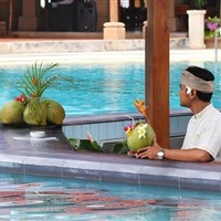 Bali Tropic - pool bar - ckmarcopolo.cz