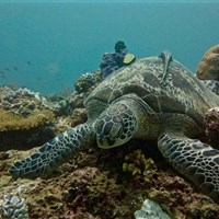 Perhentian Island resort - ckmarcopolo.cz